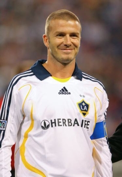 David Beckham Designated Player Rule